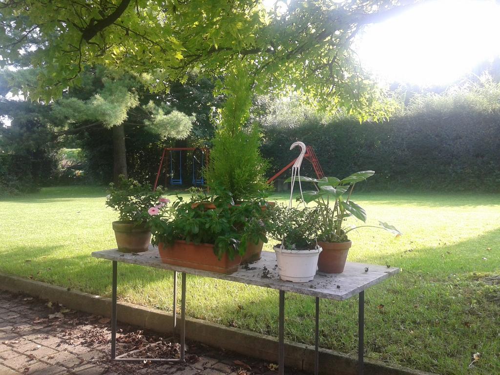 Bed And Breakfast Miotto Montegalda Luaran gambar